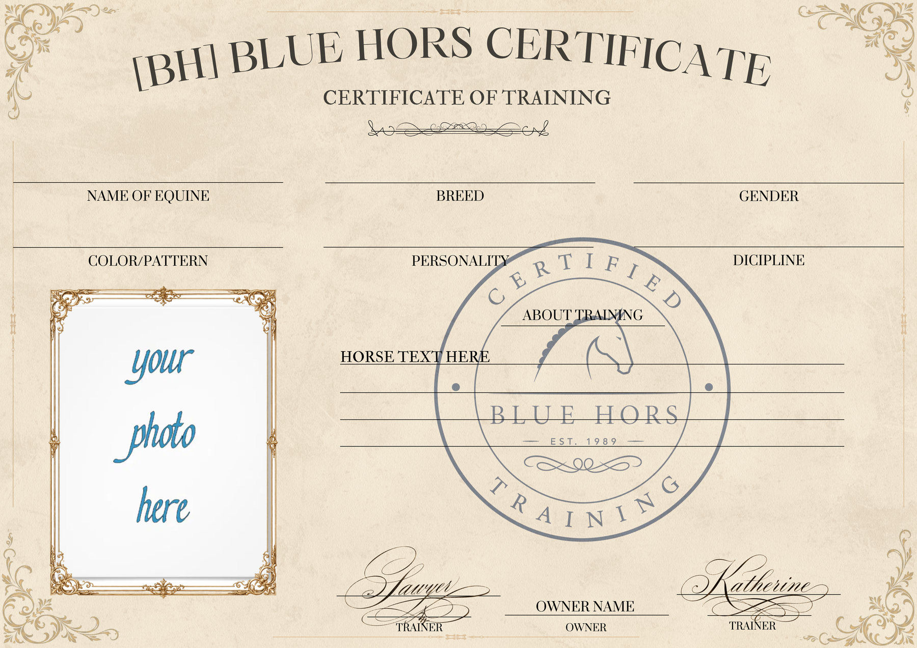 Blue Hors Premium training certificate