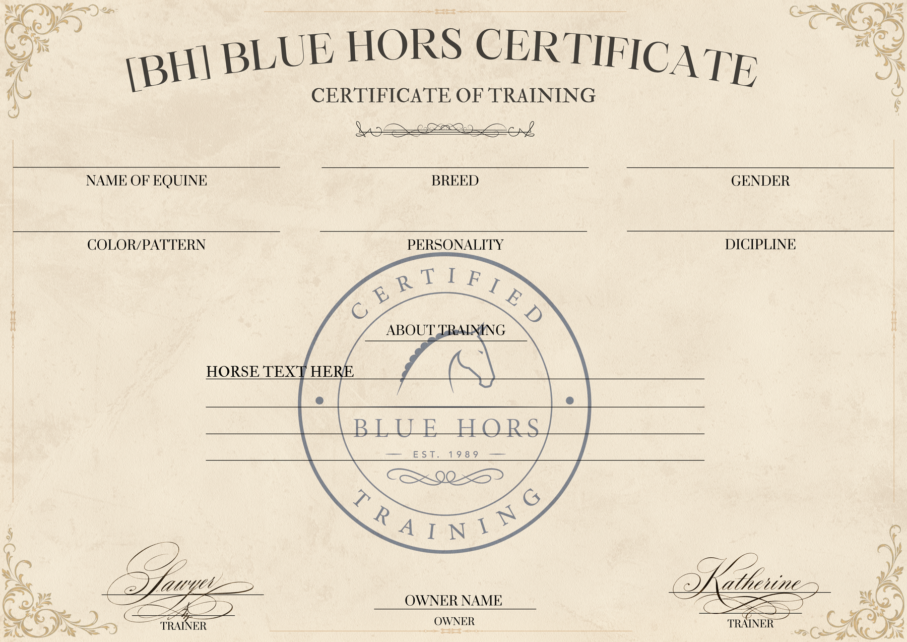 Blue Hors Standard training certificate
